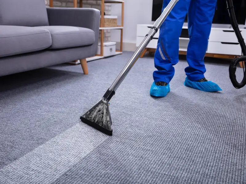 A technician in blue pants and shoe covers cleans a gray carpet with an extraction wand beside a modern gray sofa and shelving unit.